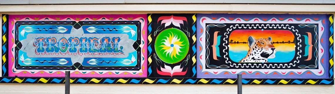 #24 - THIAGO NEVS - OCTOBRE 2022 #24 - THIAGO NEVS - OCTOBRE 2022